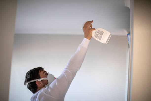 Best Localized Mold Remediation (e.g., coastal areas, humid climates) in Hlsboro, IL